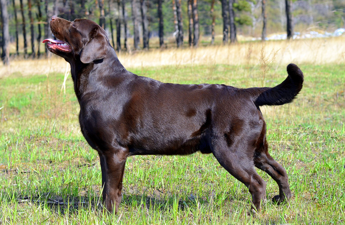 �������� ��������. ���������� �����