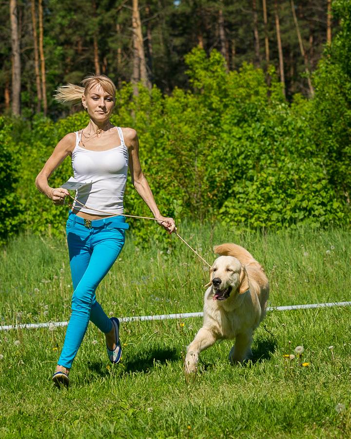 �������� ������. ���������� �����