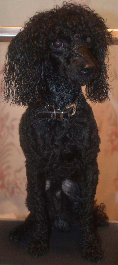 ������ ���. ���������� �����