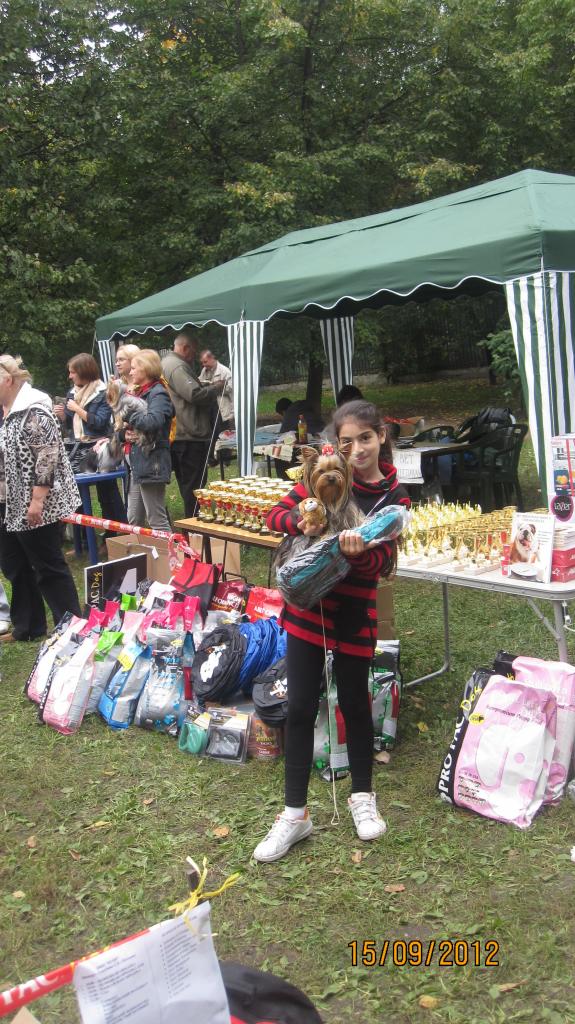 ����������� ������. ���������� �����