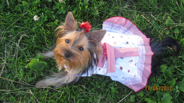 ����������� ������. ���������� �����