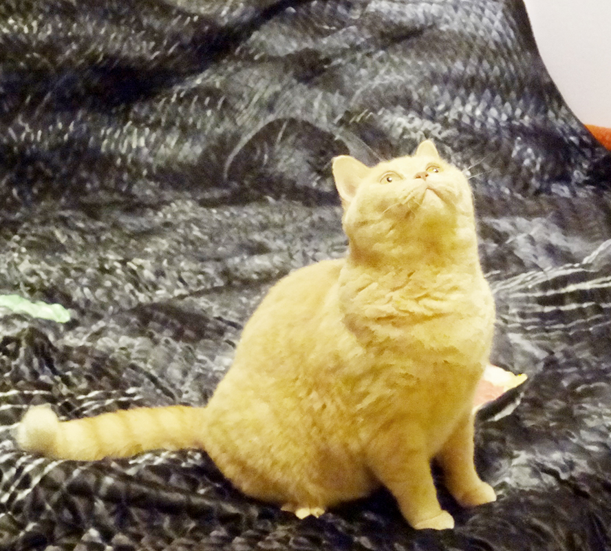 ���������� ���������������. ���������� �����