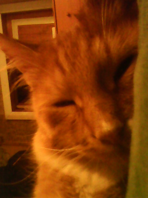 ��������� �����. ���������� �����