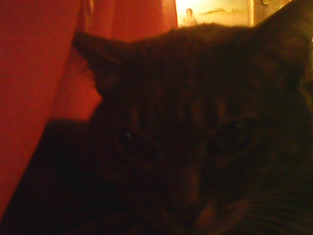 ������� ������� �����. ���������� �����