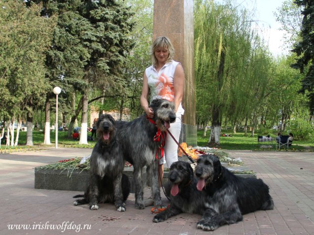 ���������� ��������