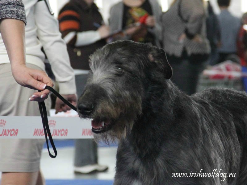 ���������� ��������. ���������� �����