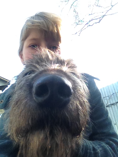 ���������� ��������