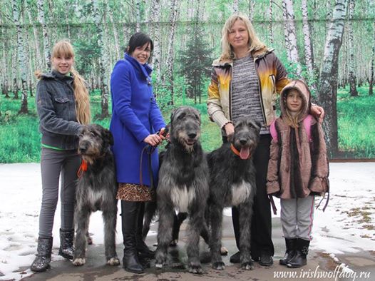 ���������� ��������