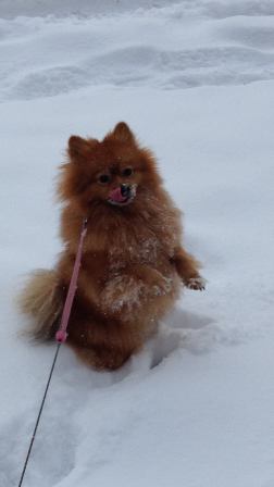 �������� ����. ���������� �����