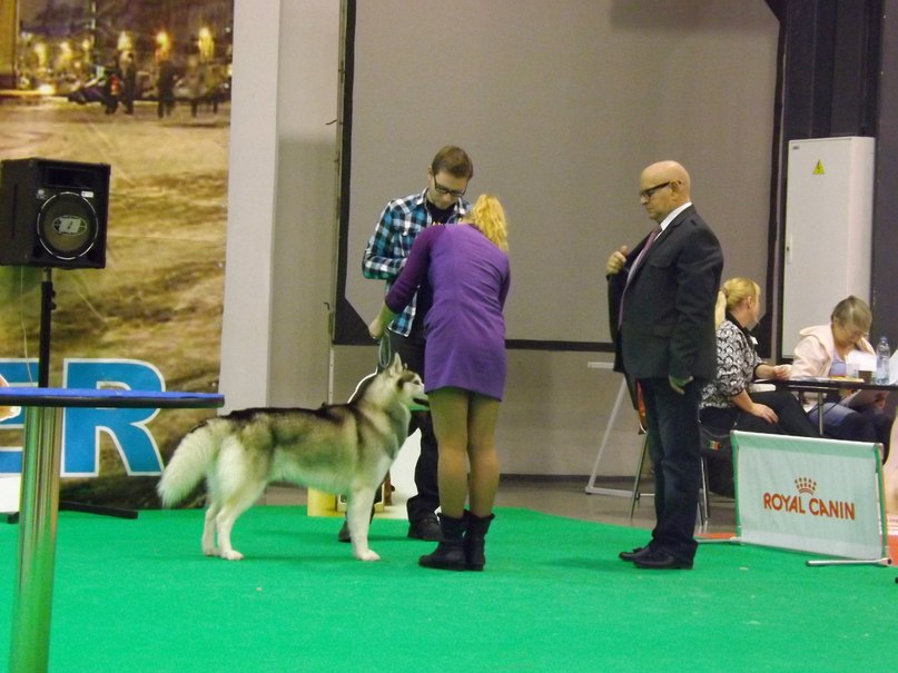 ��������� �����. ���������� �����