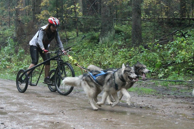 ��������� �����. ���������� �����