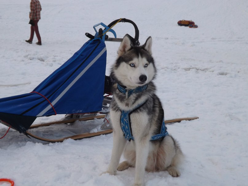 ��������� �����. ���������� �����