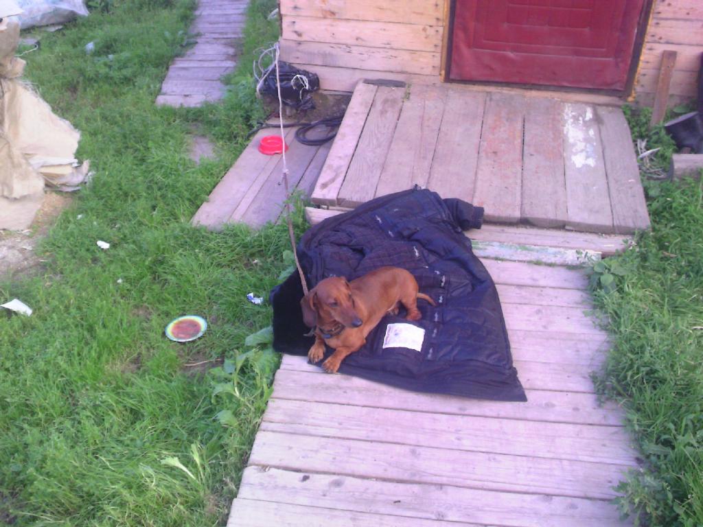 �����. ���������� �����