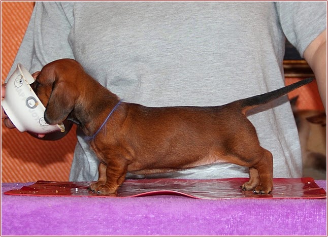 �����. ���������� �����