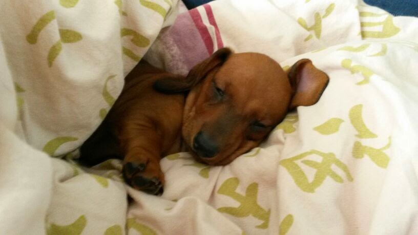 �����. ���������� �����