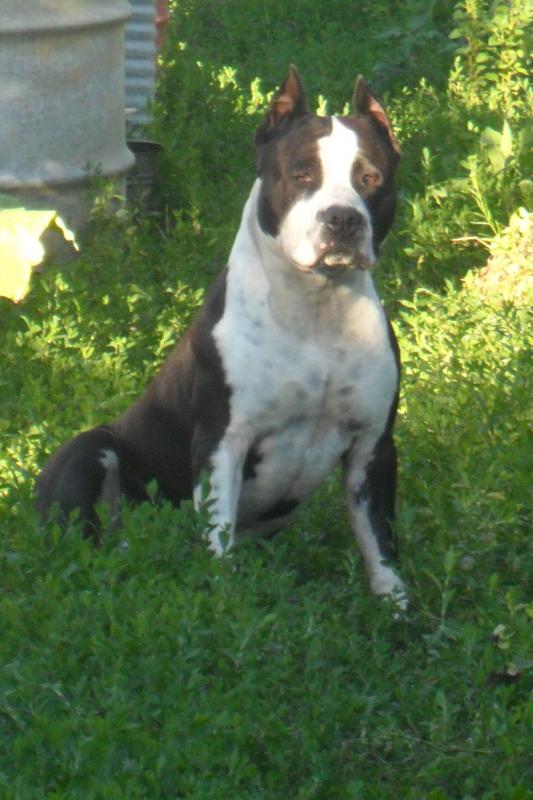 ������������ �����������c��� ������. ���������� �����