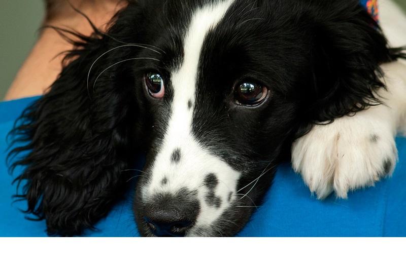 ������������ ����� ��������. ���������� �����