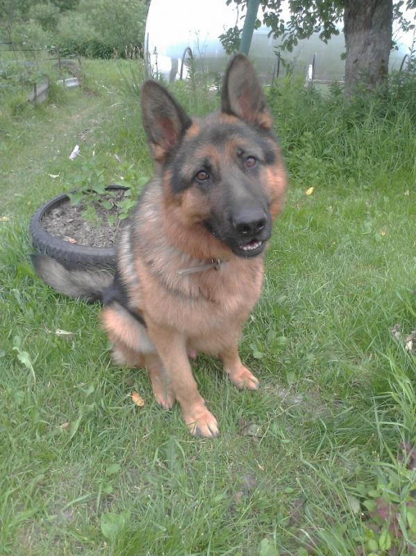 �������� �������. ���������� �����