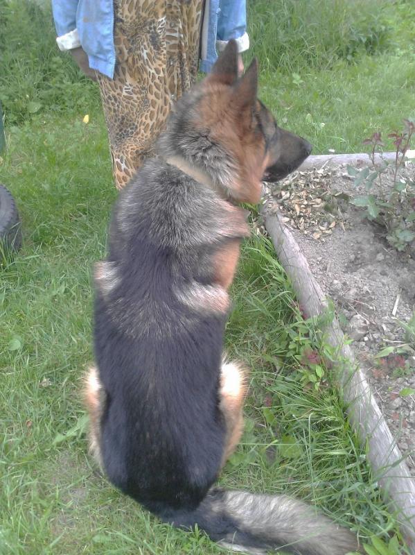 �������� �������. ���������� �����