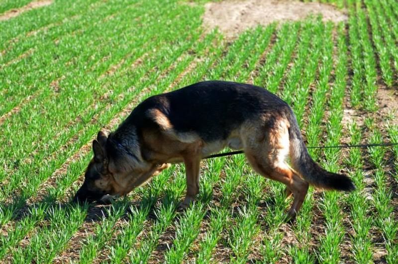 �������� �������. ���������� �����