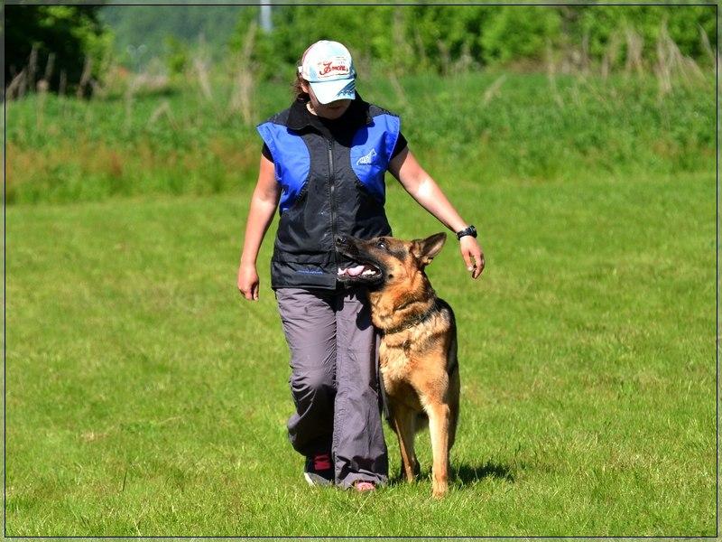 �������� �������. ���������� �����