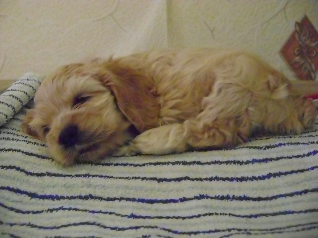 ������������ ����� ��������. ���������� �����