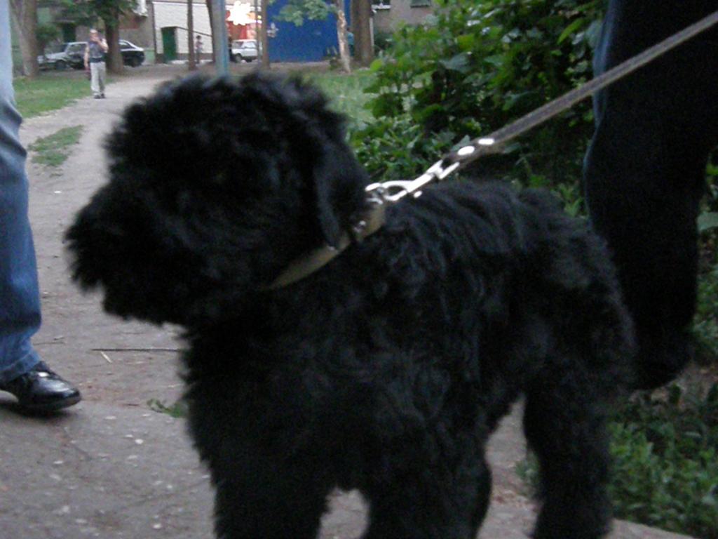 ��� ������. ���������� �����