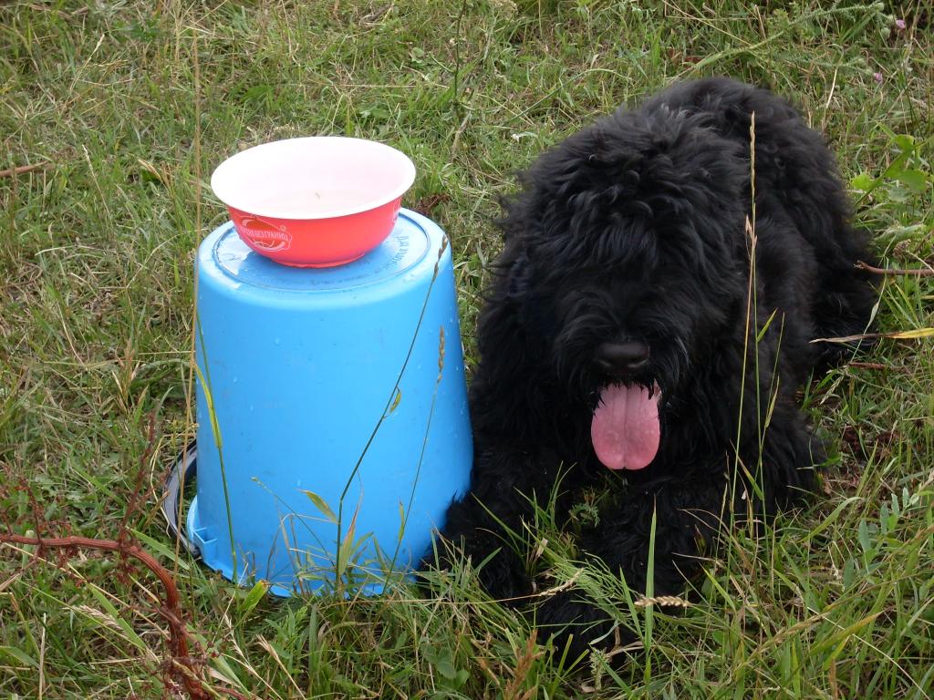 ��� ������. ���������� �����