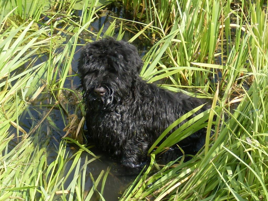 ��� ������. ���������� �����