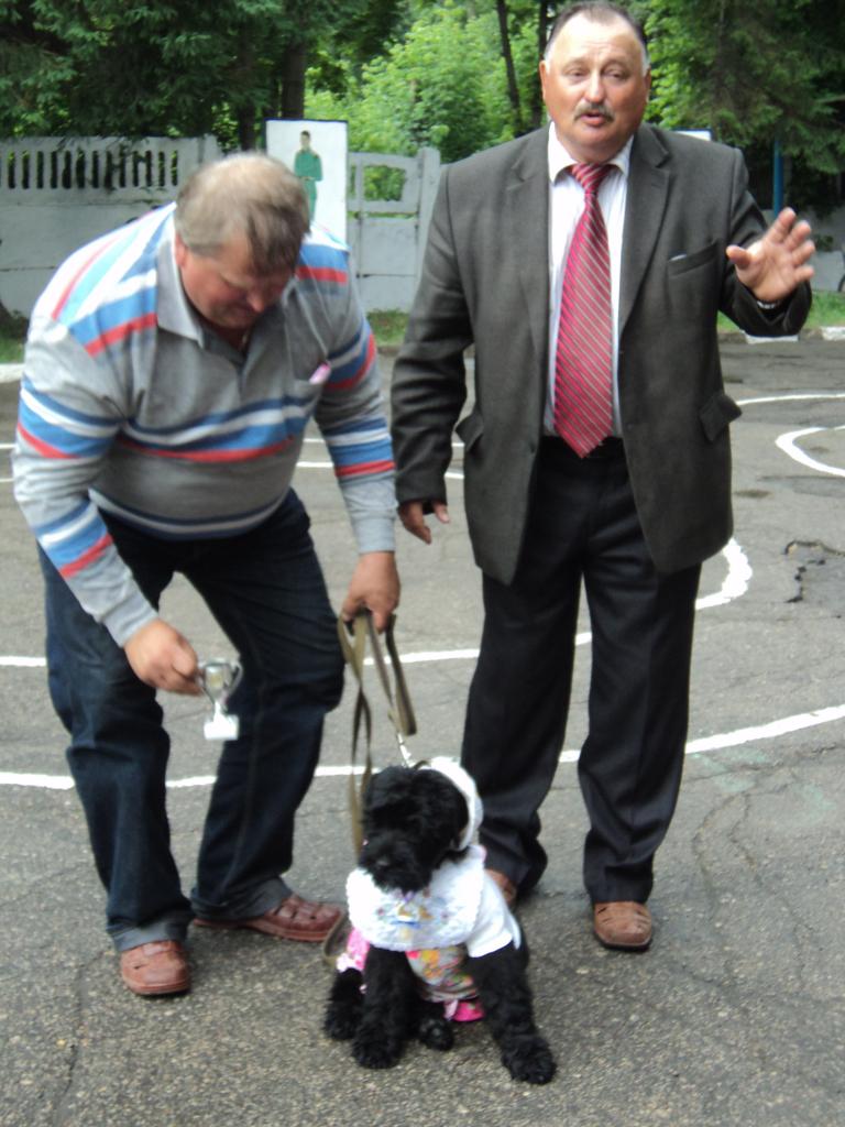 ��� ������. ���������� �����