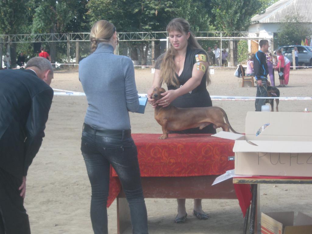 �����. ���������� �����