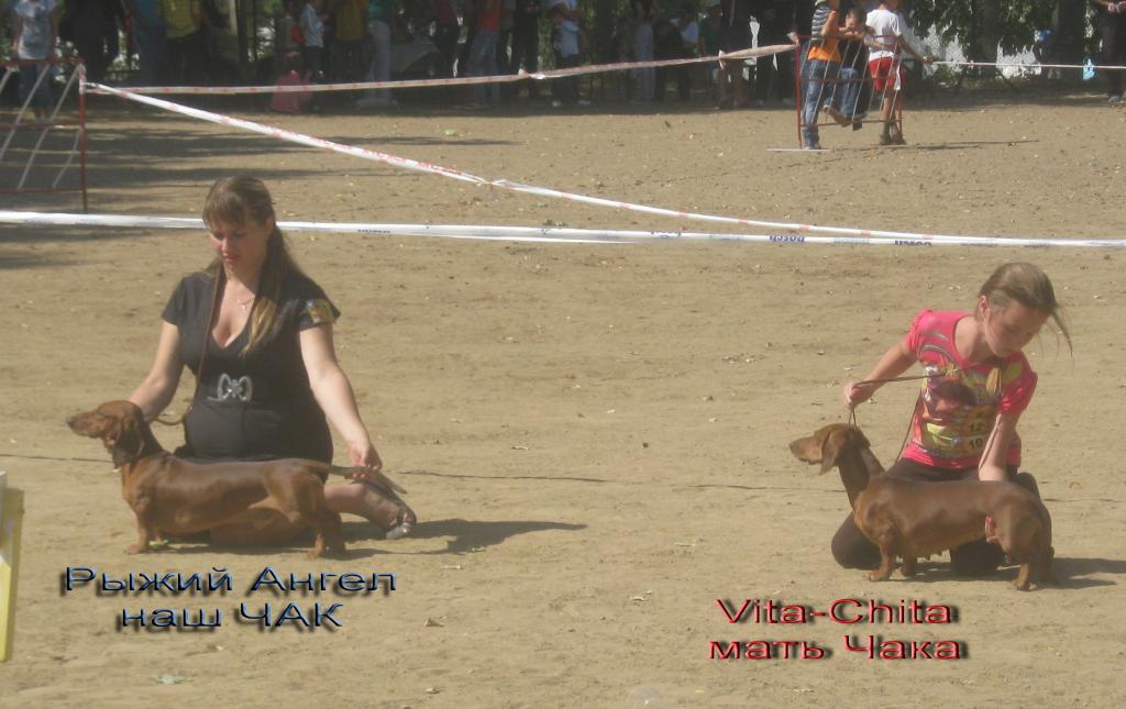 �����. ���������� �����