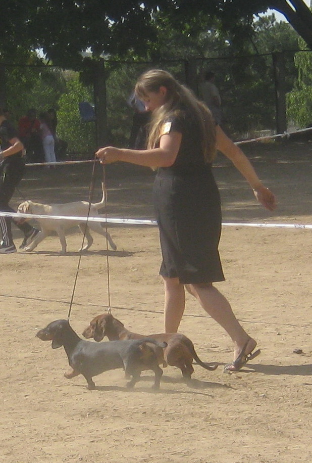 �����. ���������� �����