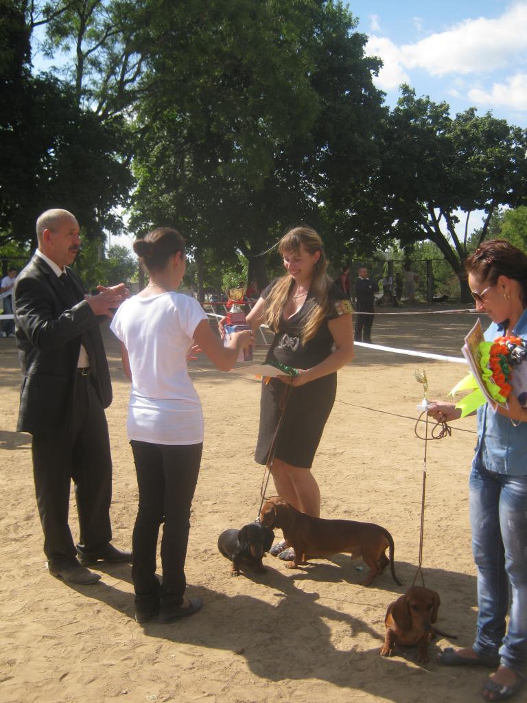 �����. ���������� �����