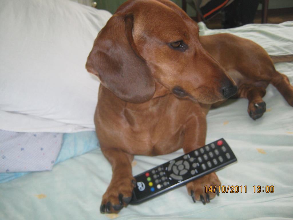 �����. ���������� �����