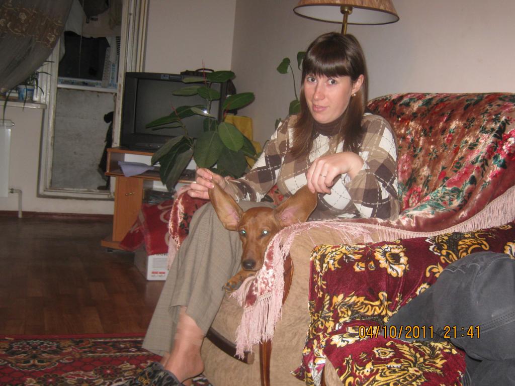 �����. ���������� �����