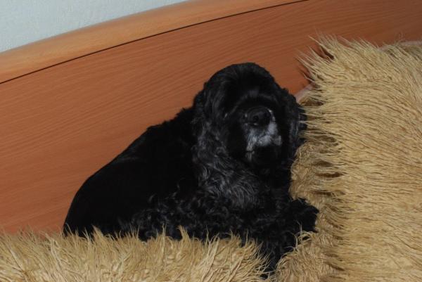 ������������ ����� ��������. ���������� �����