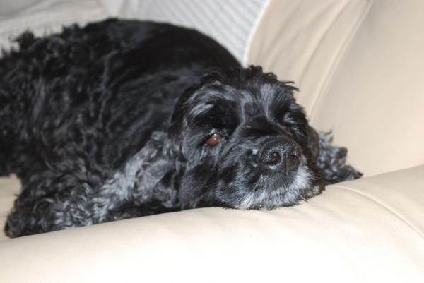 ������������ ����� ��������. ���������� �����