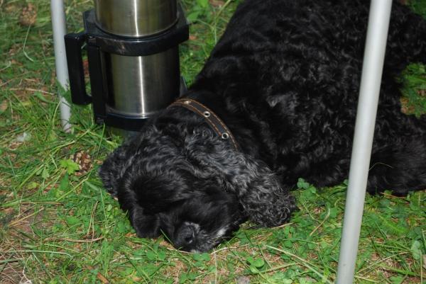 ������������ ����� ��������. ���������� �����