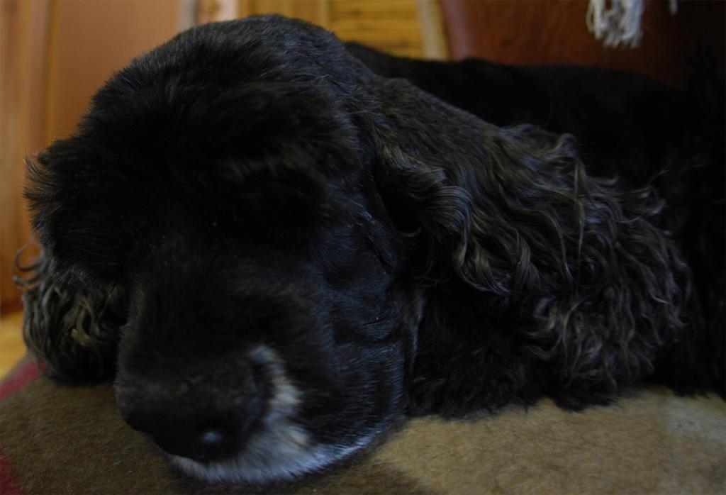 ������������ ����� ��������. ���������� �����