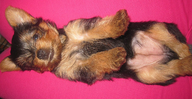 ����������� ������. ���������� �����