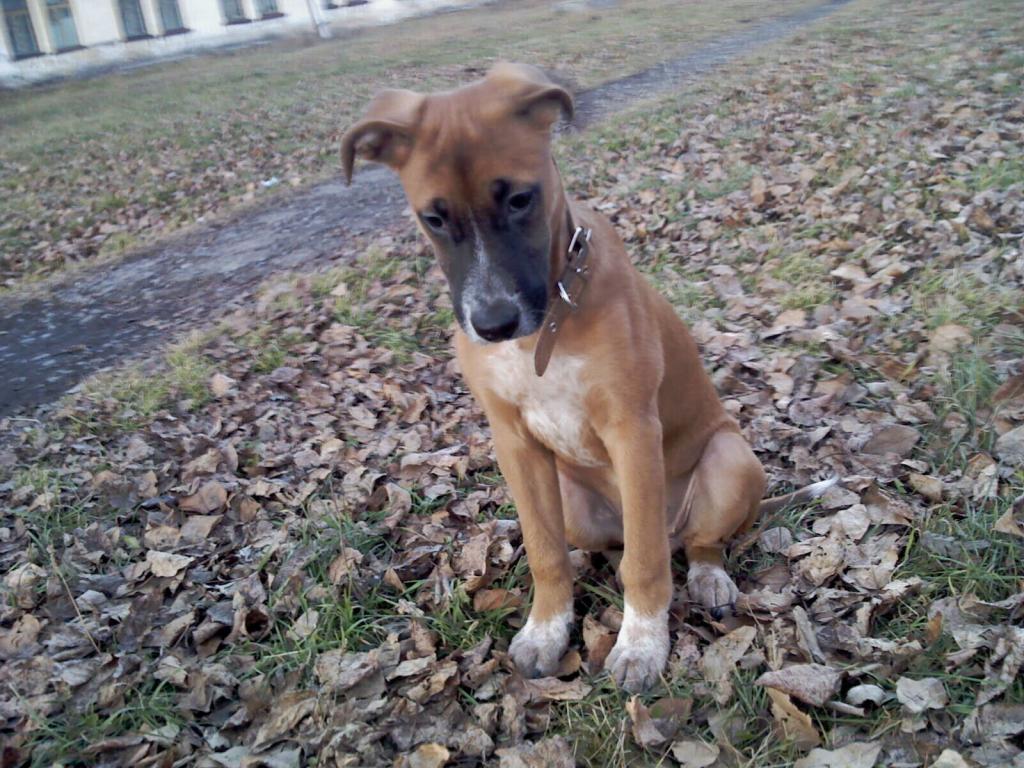 ��� ������. ���������� �����