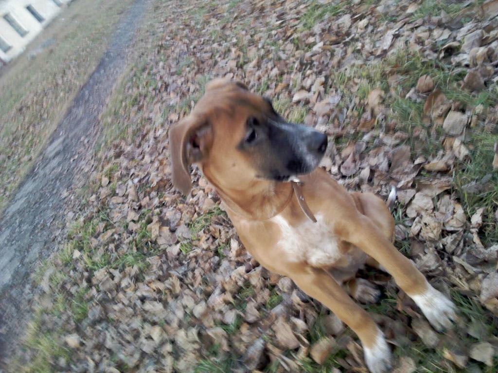 ��� ������. ���������� �����