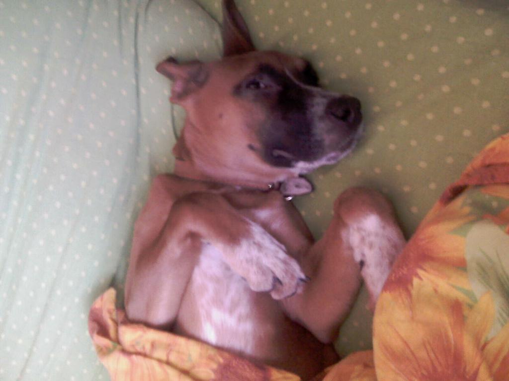 ��� ������. ���������� �����