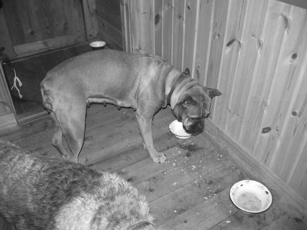 ������. ���������� �����