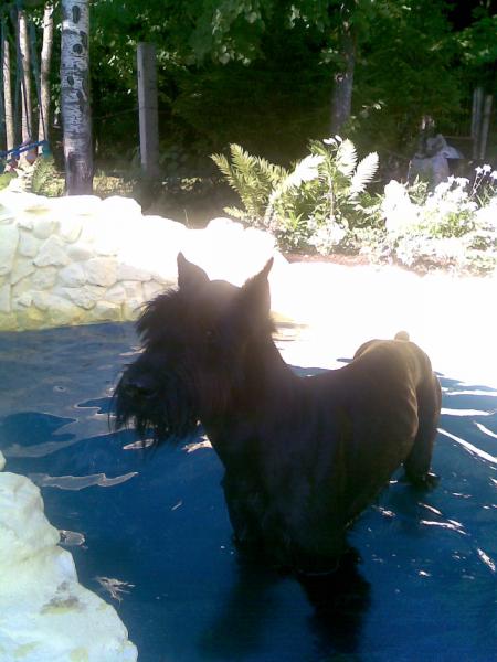 ������������. ���������� �����