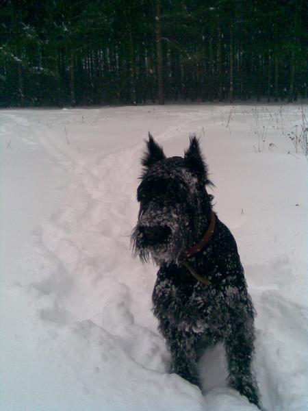 ������������. ���������� �����