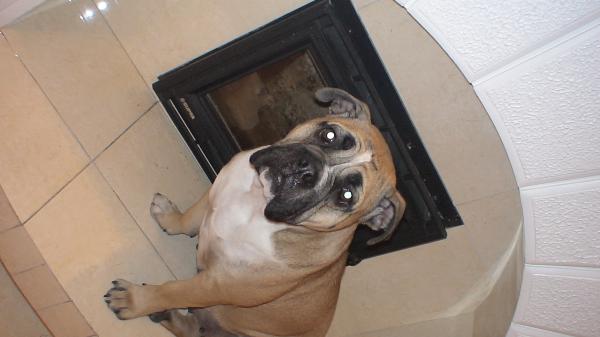 �� �� �� (���������� ������). ���������� �����