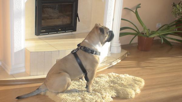 �� �� �� (���������� ������). ���������� �����