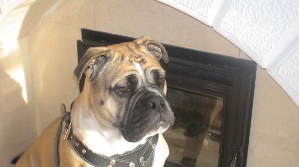 �� �� �� (���������� ������). ���������� �����